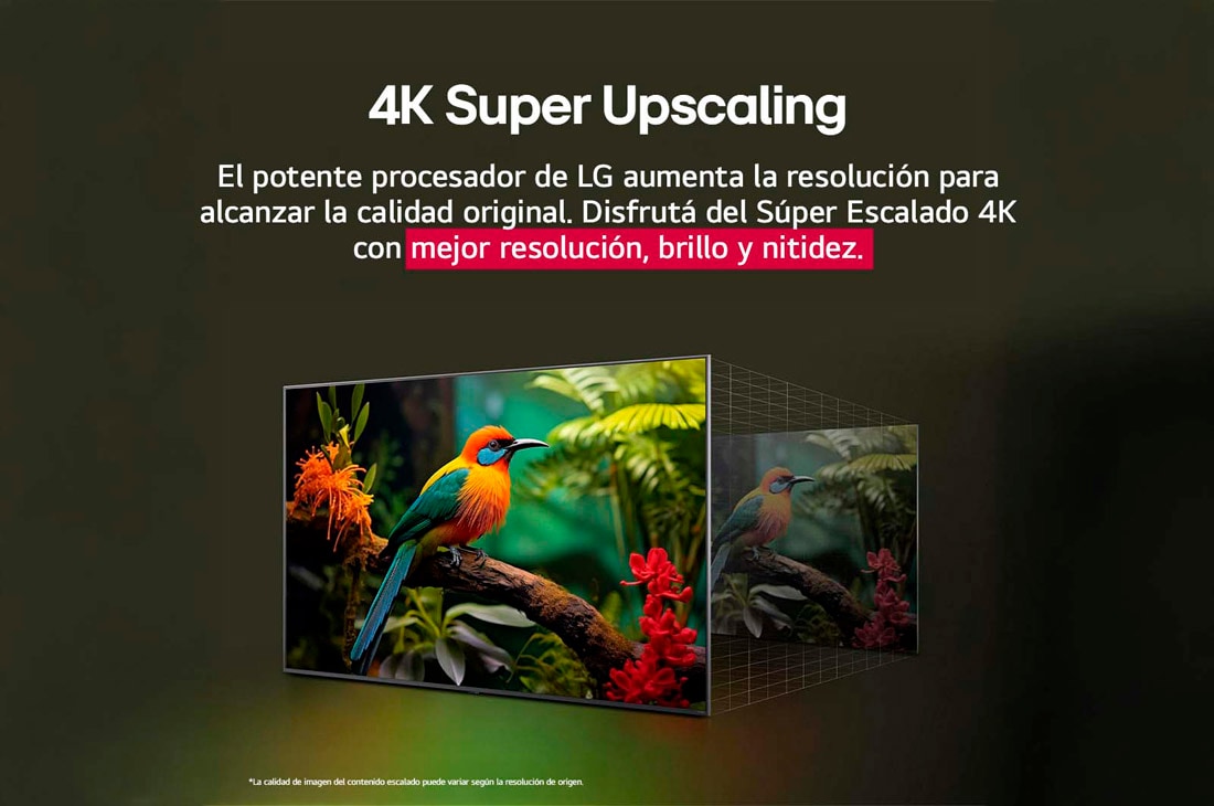 LG TV LG NanoCell AI 65'' │ UHD 4K │ Procesador Alpha 7 4K Gen8, Comparación de antes y después de cómo el superescalado&nbsp;4K de LG mejora la calidad de la imagen. Dos paneles muestran la misma imagen de un pájaro colorido posado en una rama en el bosque, el panel de, 65NANO80ASA, thumbnail 7